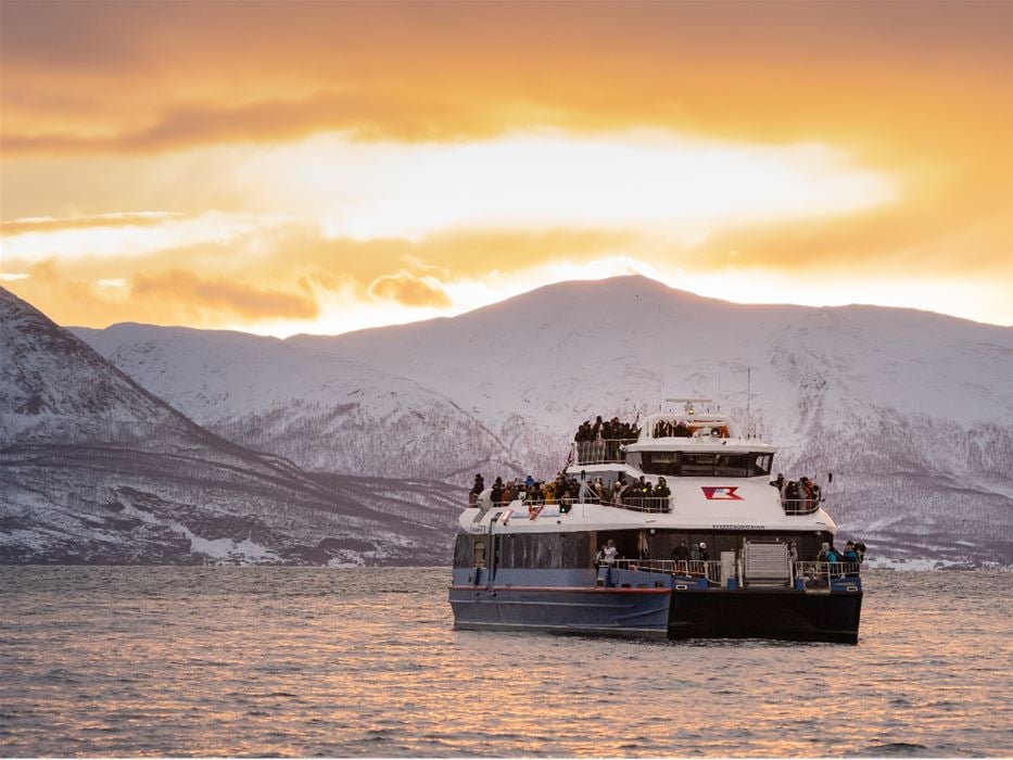 Passeio de Barco com Observação de Baleias