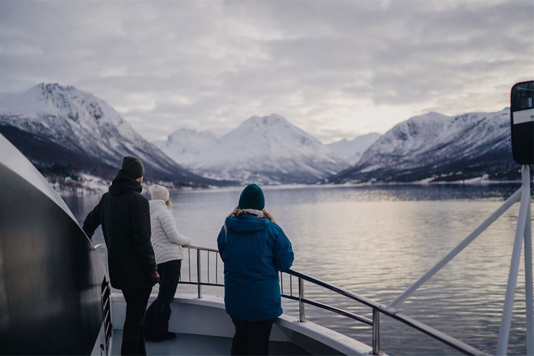 Passeio de Barco com Observação de Baleias 3