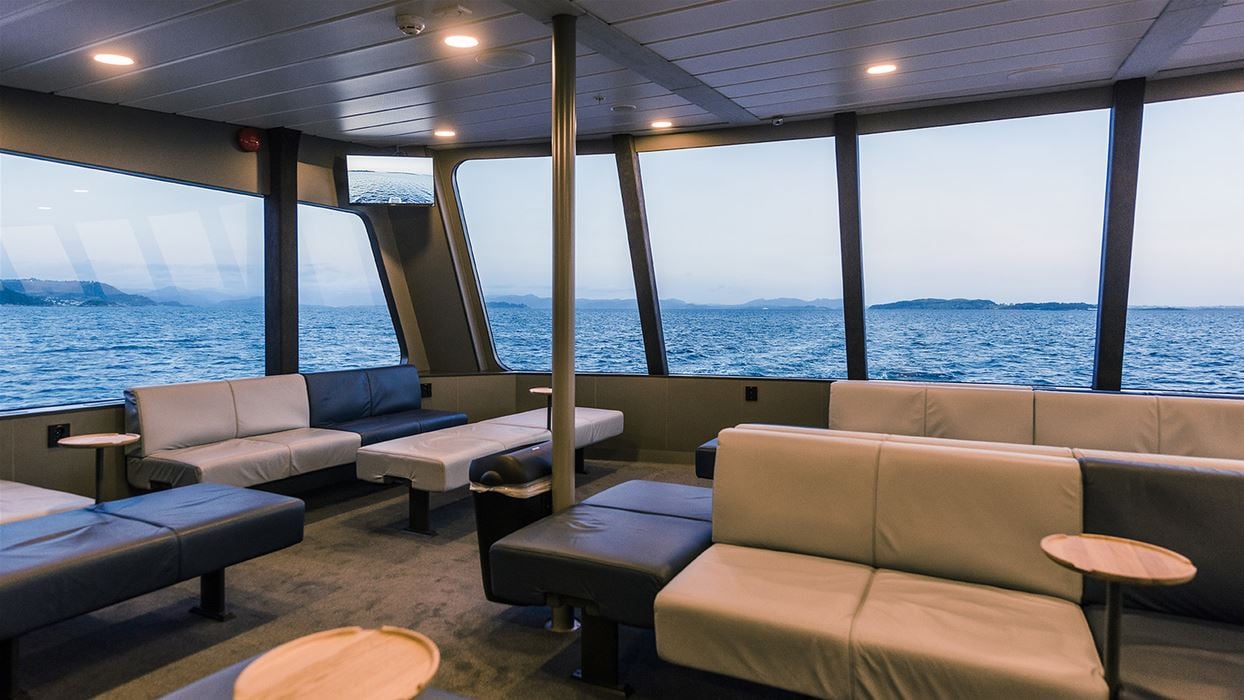 Passeio de Barco com Observação de Baleias 7