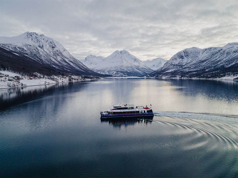 Passeio de Barco com Observação de Baleias 8