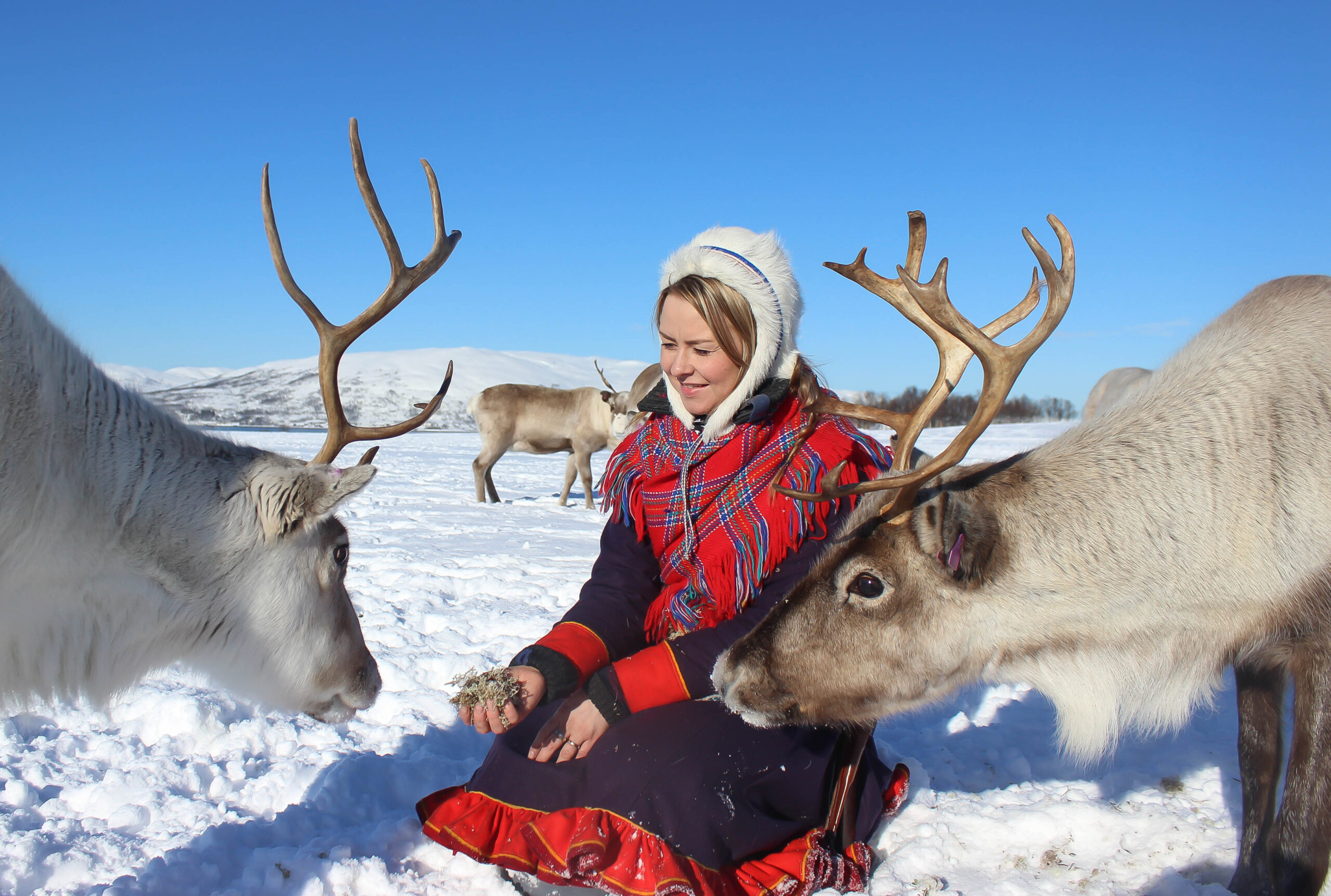 passeio-aurora-boreal-caçada-tromso-noruega-guia2018-03-22 10.35