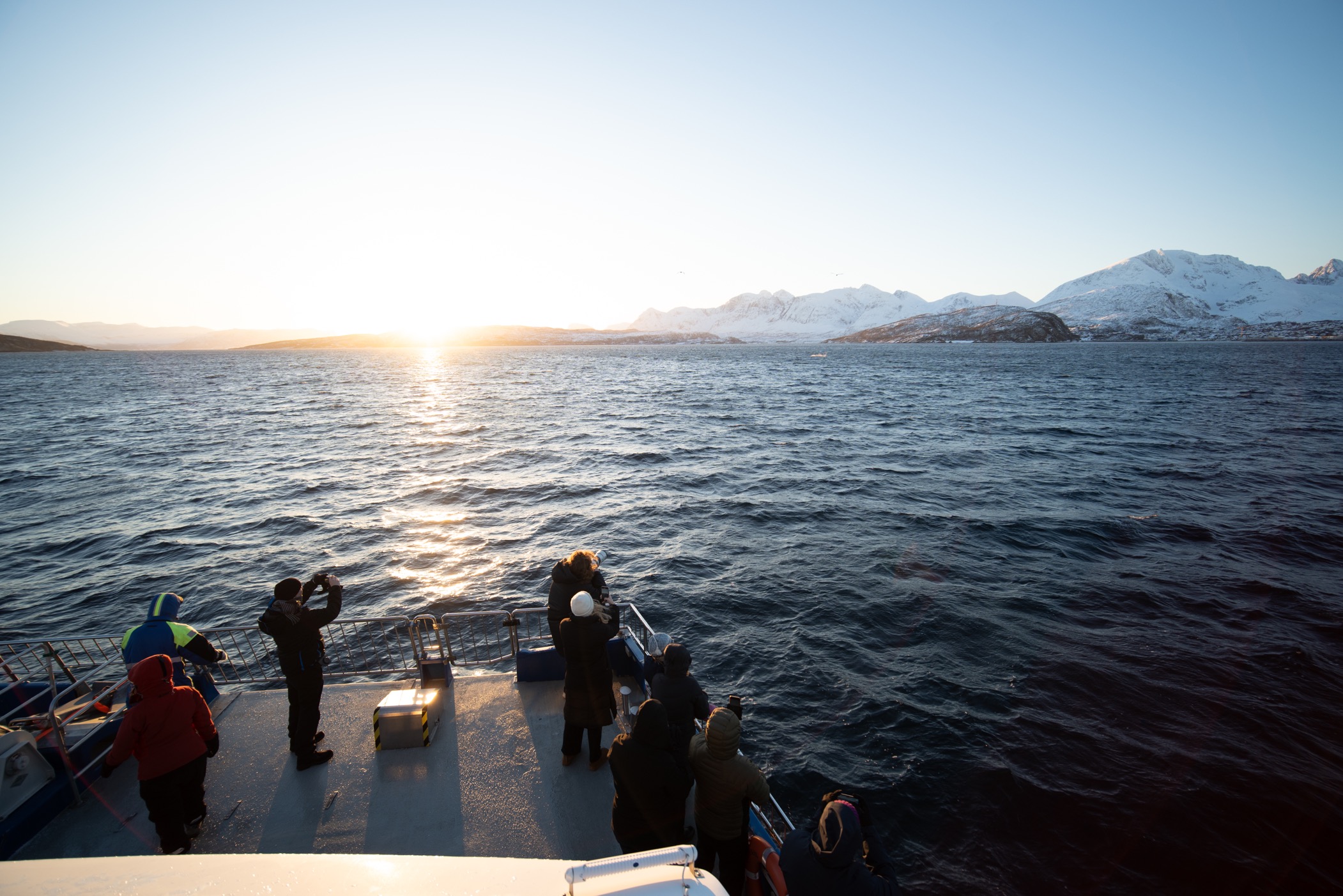 passeio-de-barco-baleias-orca-tromso-14