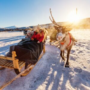 Passeio de trenó com rena sob luz dourada em paisagem ártica com montanhas nevadas