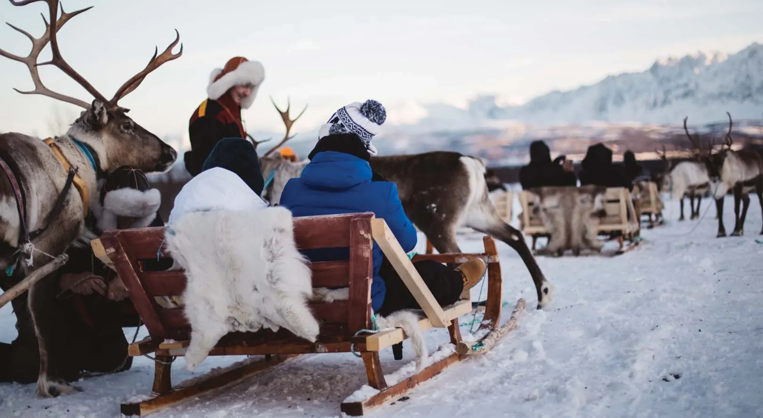 passeio-treno-renas-tromso-2 1